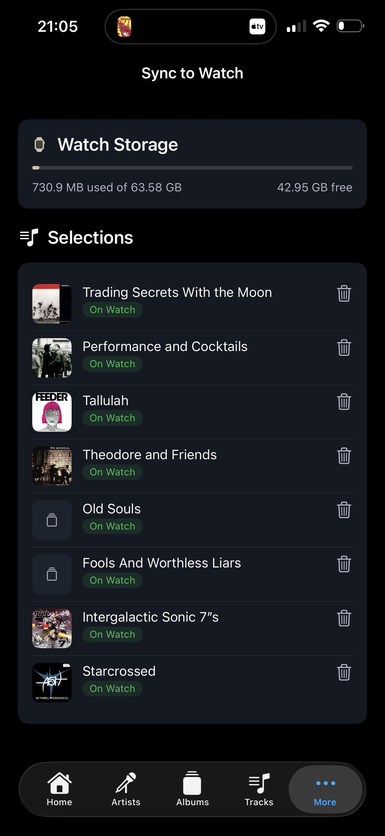 iPhone Watch sync management screen showing synced content and storage