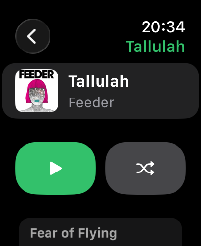Synced album detail on the Watch