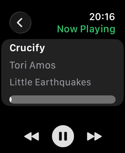 Now Playing controls on the Watch remote app