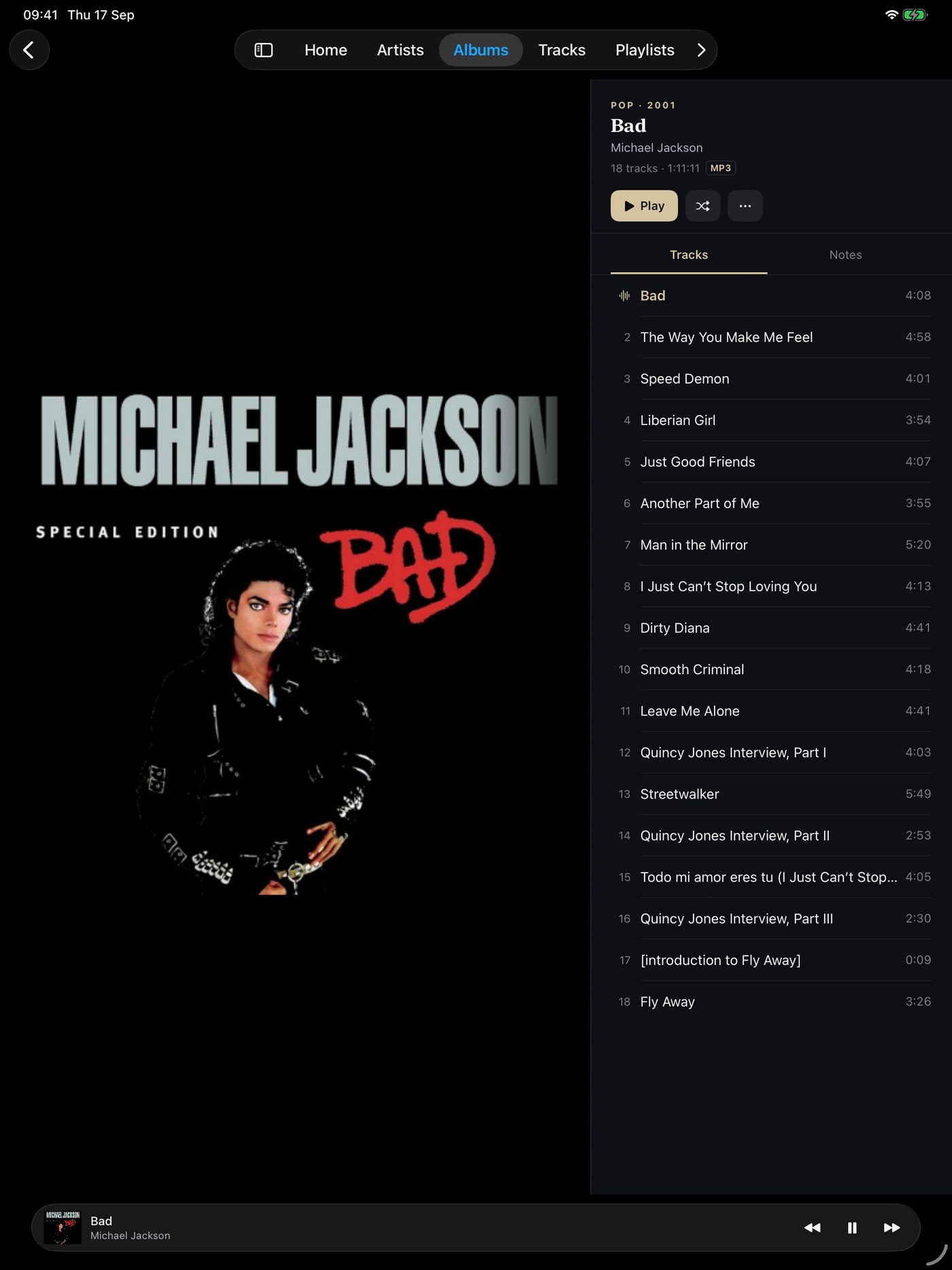 An album on iPad in portrait: large artwork beside the track list, with Play and Shuffle and a mini player.
