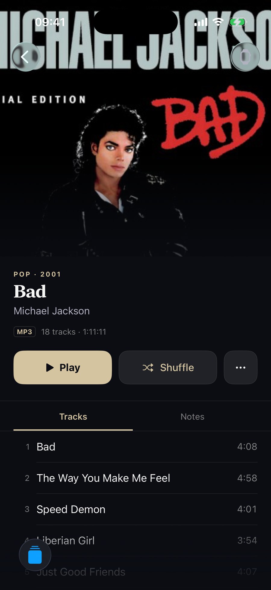 An album on iPhone: full-width artwork, title, artist, format badge, Play and Shuffle buttons and the track list.